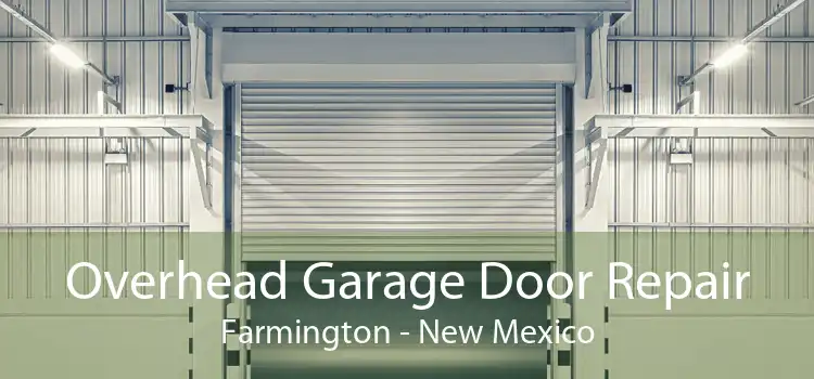 Overhead Garage Door Repair Farmington - New Mexico