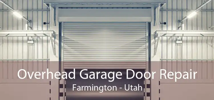 Overhead Garage Door Repair Farmington - Utah
