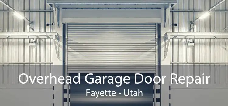 Overhead Garage Door Repair Fayette - Utah