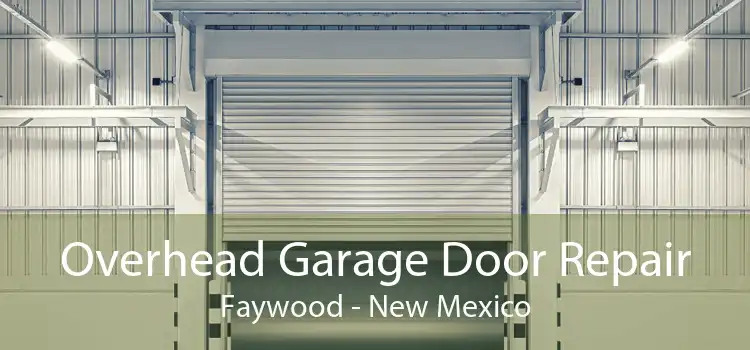 Overhead Garage Door Repair Faywood - New Mexico