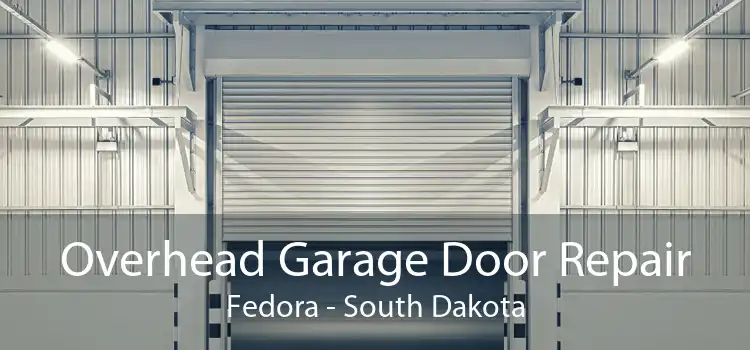Overhead Garage Door Repair Fedora - South Dakota
