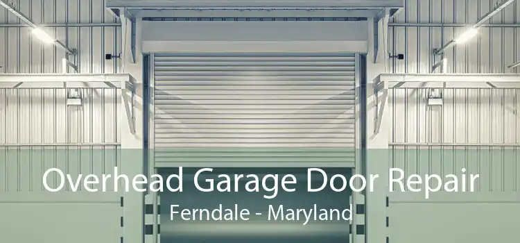 Overhead Garage Door Repair Ferndale - Maryland