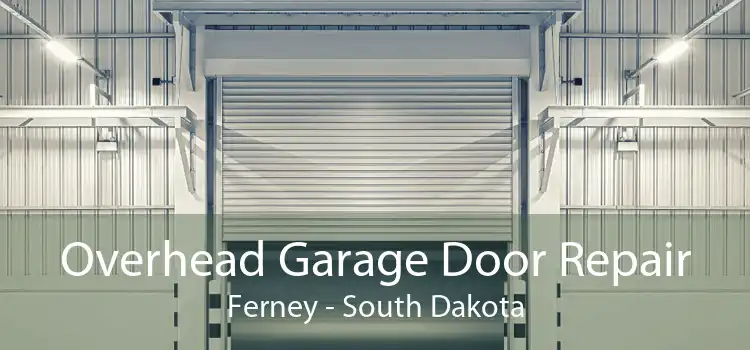 Overhead Garage Door Repair Ferney - South Dakota