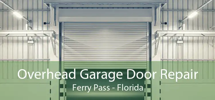 Overhead Garage Door Repair Ferry Pass - Florida