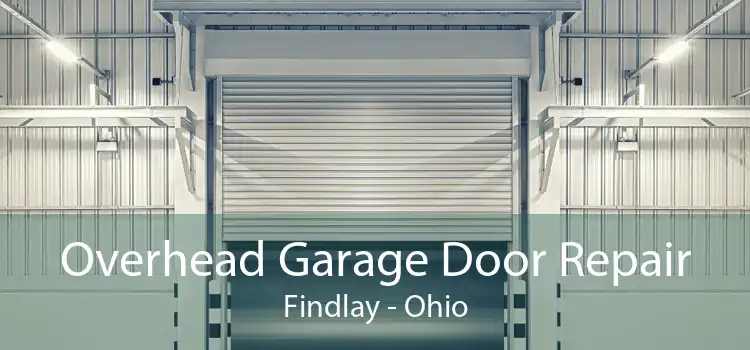 Overhead Garage Door Repair Findlay - Ohio