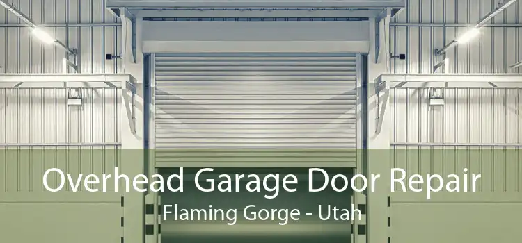 Overhead Garage Door Repair Flaming Gorge - Utah