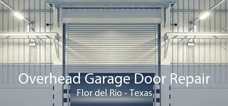 Overhead Garage Door Repair Flor del Rio - Texas