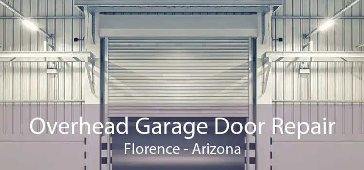 Overhead Garage Door Repair Florence - Arizona