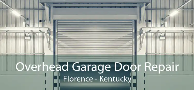 Overhead Garage Door Repair Florence - Kentucky