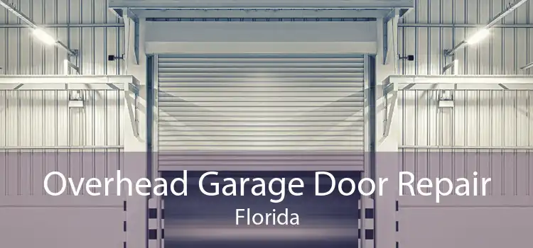 Overhead Garage Door Repair Florida