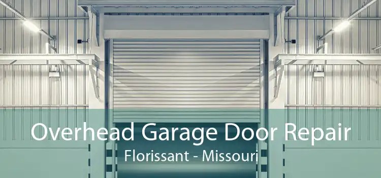 Overhead Garage Door Repair Florissant - Missouri