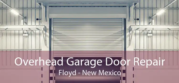 Overhead Garage Door Repair Floyd - New Mexico