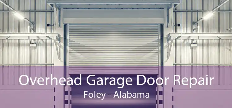 Overhead Garage Door Repair Foley - Alabama
