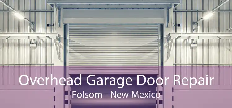 Overhead Garage Door Repair Folsom - New Mexico