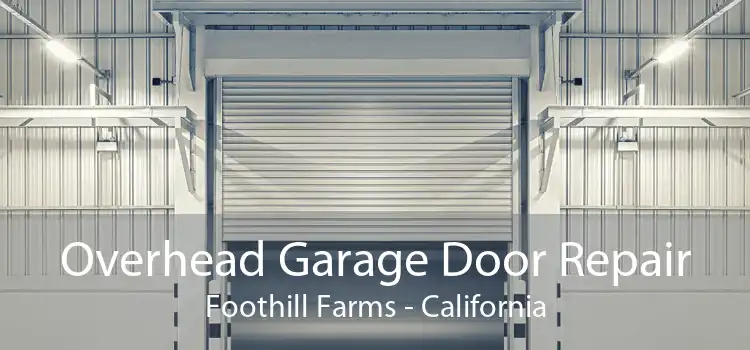 Overhead Garage Door Repair Foothill Farms - California
