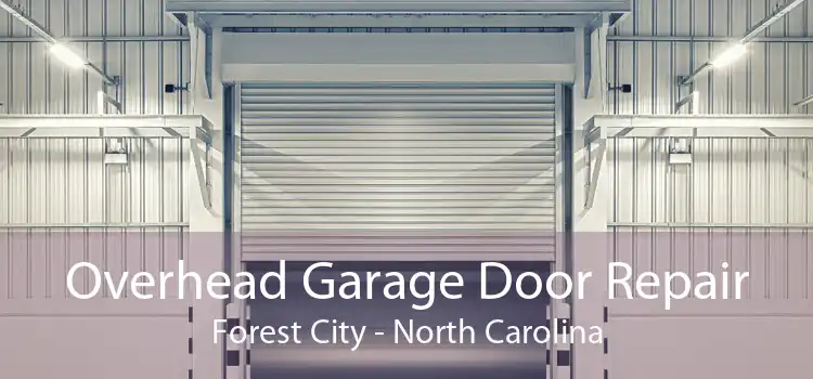 Overhead Garage Door Repair Forest City - North Carolina