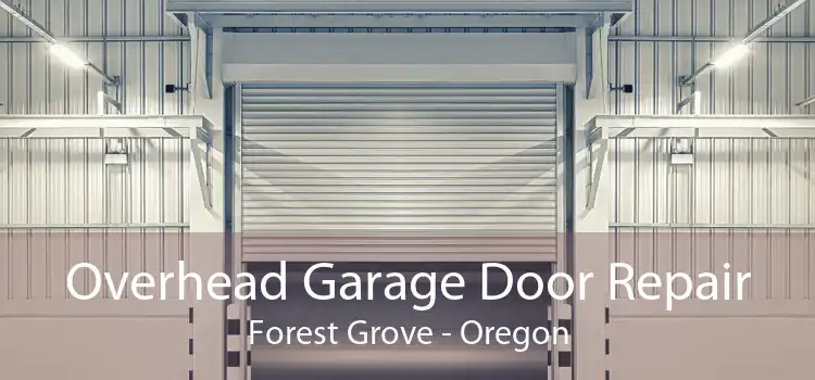 Overhead Garage Door Repair Forest Grove - Oregon