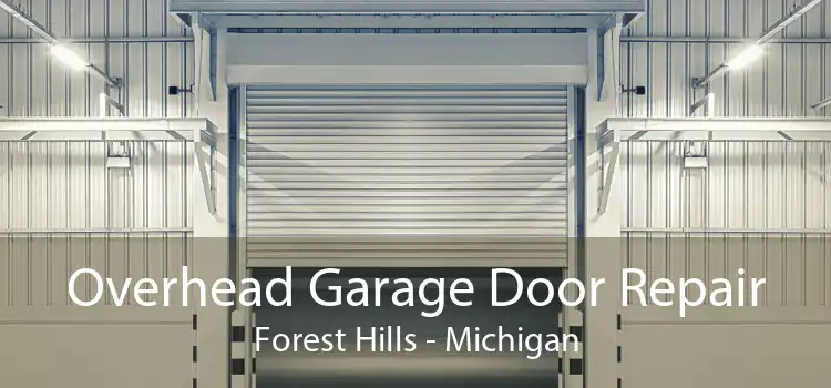 Overhead Garage Door Repair Forest Hills - Michigan