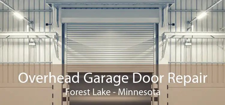 Overhead Garage Door Repair Forest Lake - Minnesota