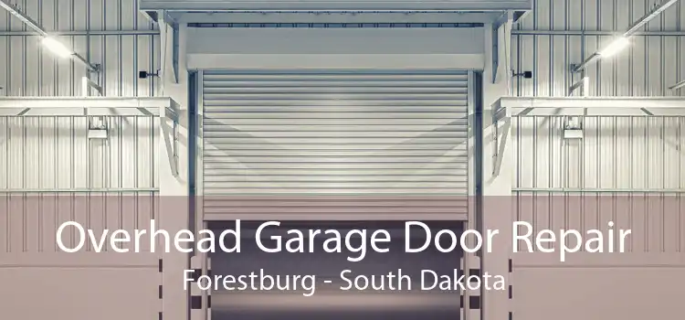 Overhead Garage Door Repair Forestburg - South Dakota