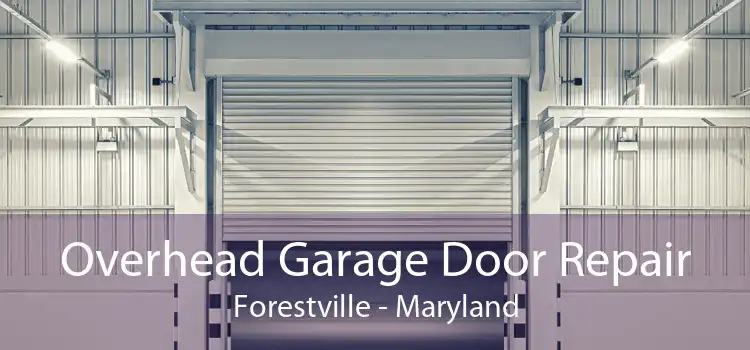 Overhead Garage Door Repair Forestville - Maryland