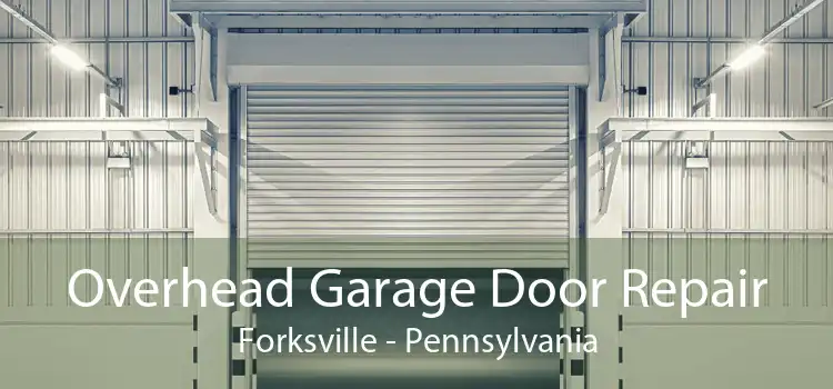 Overhead Garage Door Repair Forksville - Pennsylvania