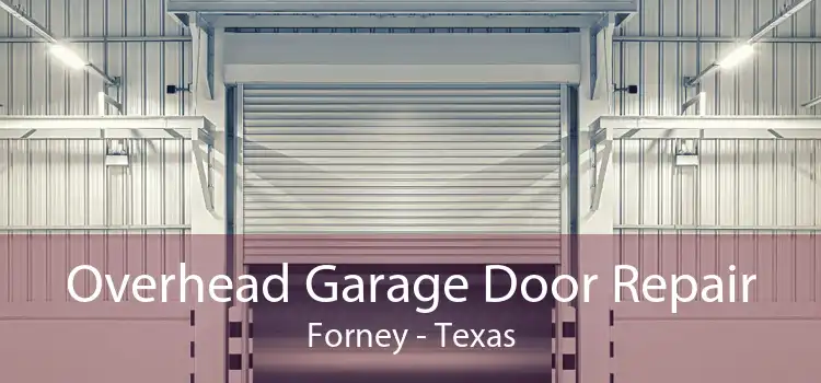 Overhead Garage Door Repair Forney - Texas