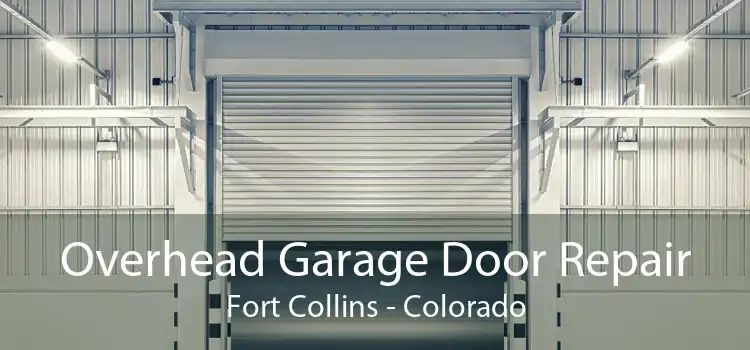 Overhead Garage Door Repair Fort Collins - Colorado
