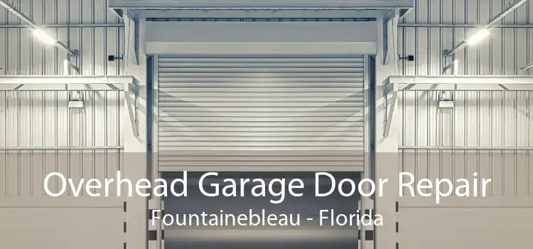 Overhead Garage Door Repair Fountainebleau - Florida