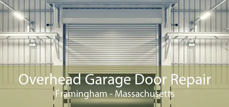 Overhead Garage Door Repair Framingham - Massachusetts