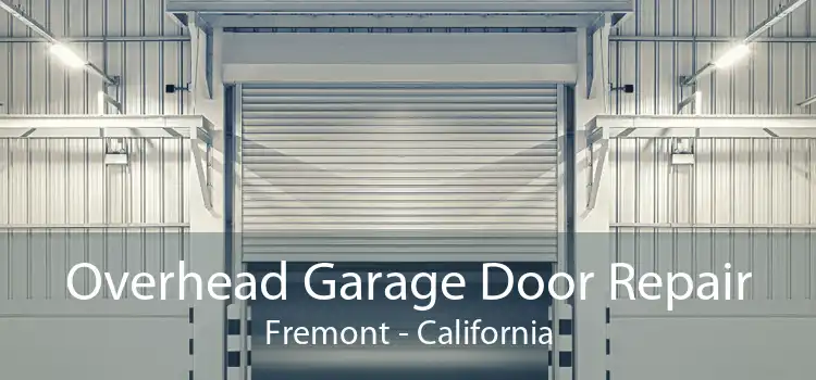 Overhead Garage Door Repair Fremont - California