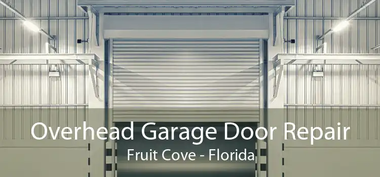 Overhead Garage Door Repair Fruit Cove - Florida