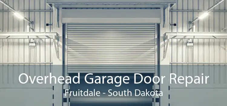 Overhead Garage Door Repair Fruitdale - South Dakota