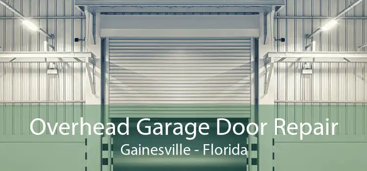 Overhead Garage Door Repair Gainesville - Florida