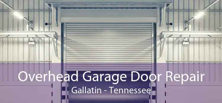 Overhead Garage Door Repair Gallatin - Tennessee