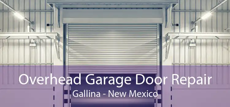 Overhead Garage Door Repair Gallina - New Mexico