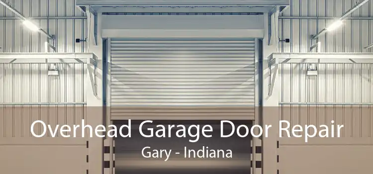 Overhead Garage Door Repair Gary - Indiana