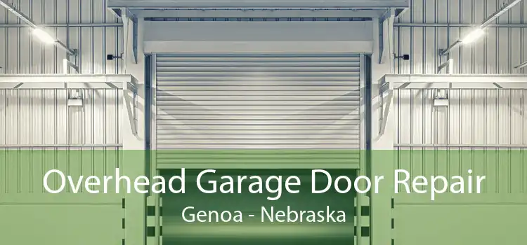 Overhead Garage Door Repair Genoa - Nebraska