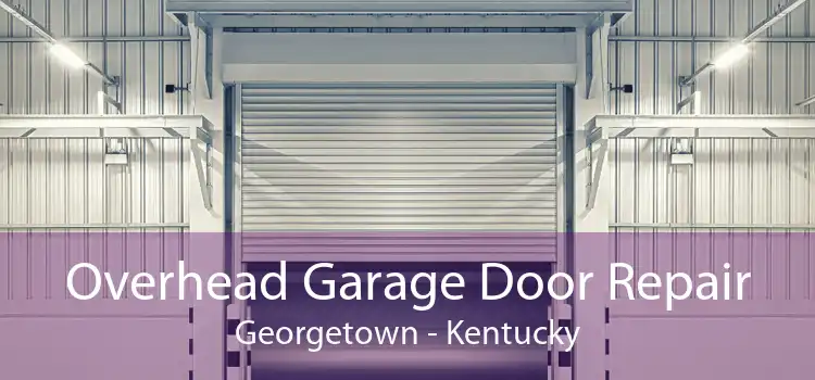 Overhead Garage Door Repair Georgetown - Kentucky