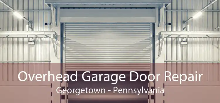 Overhead Garage Door Repair Georgetown - Pennsylvania