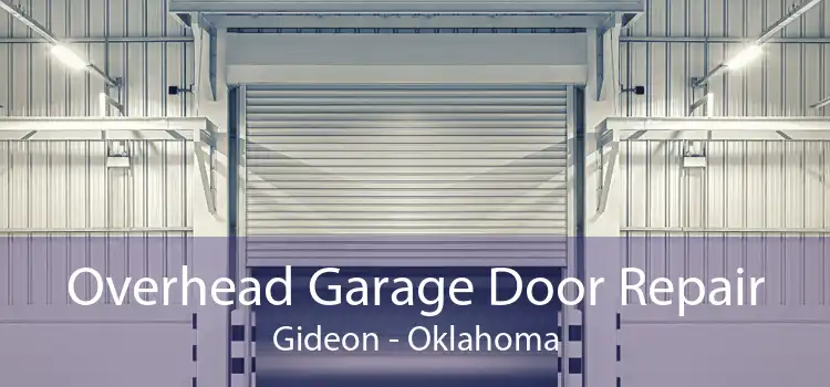 Overhead Garage Door Repair Gideon - Oklahoma