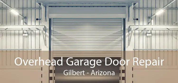 Overhead Garage Door Repair Gilbert - Arizona