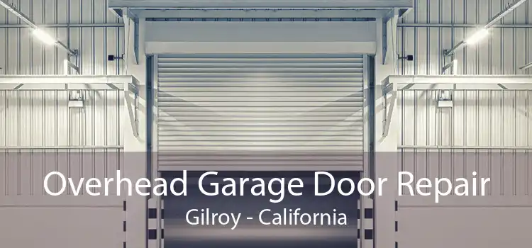 Overhead Garage Door Repair Gilroy - California