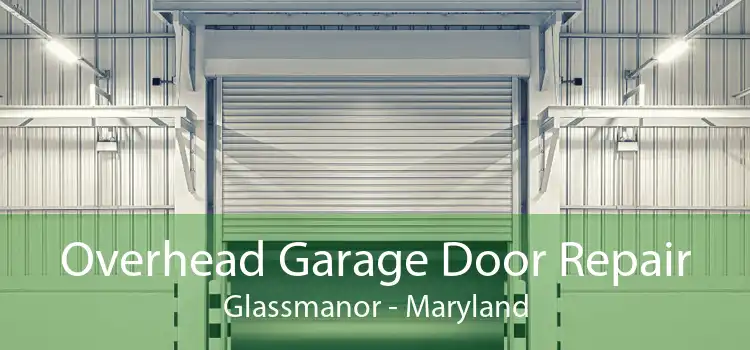 Overhead Garage Door Repair Glassmanor - Maryland