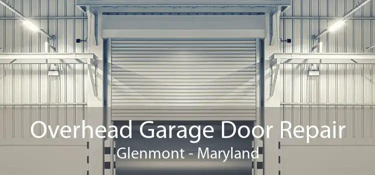 Overhead Garage Door Repair Glenmont - Maryland