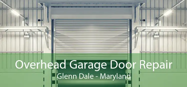 Overhead Garage Door Repair Glenn Dale - Maryland