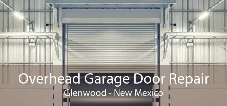 Overhead Garage Door Repair Glenwood - New Mexico