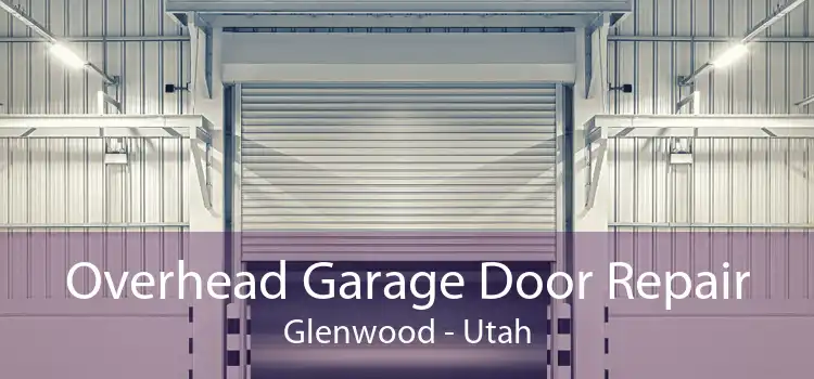 Overhead Garage Door Repair Glenwood - Utah
