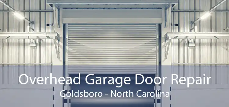 Overhead Garage Door Repair Goldsboro - North Carolina