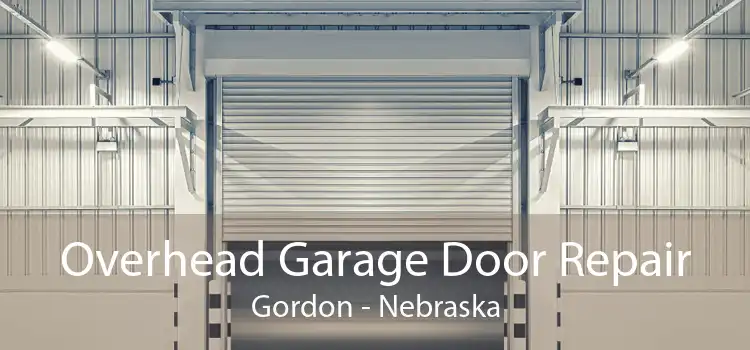 Overhead Garage Door Repair Gordon - Nebraska